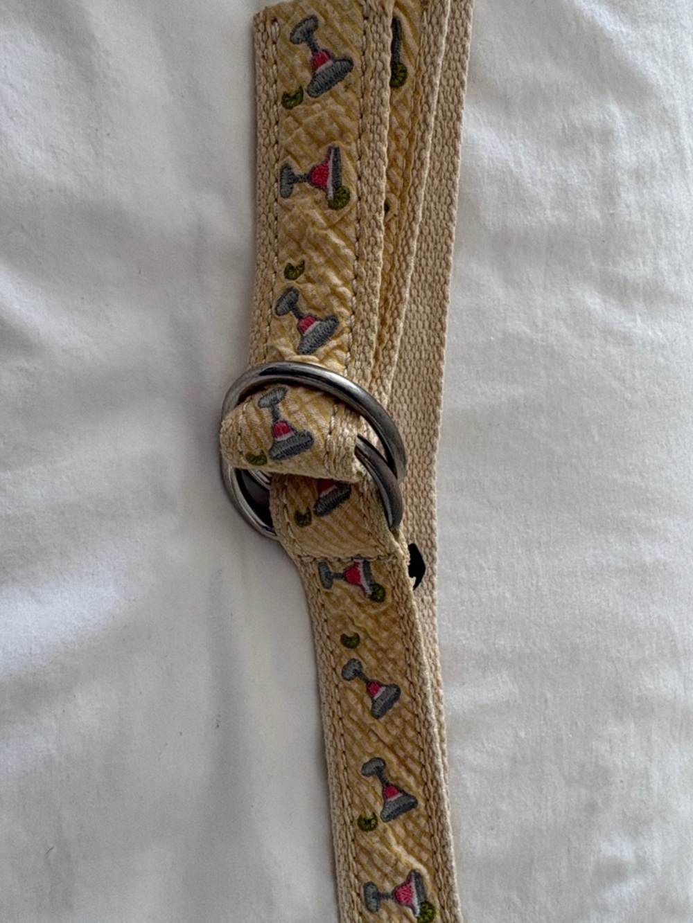 J. Crew Tan Woven Belt with Gray and Pink Margaritas and Lime Embroidered Accent